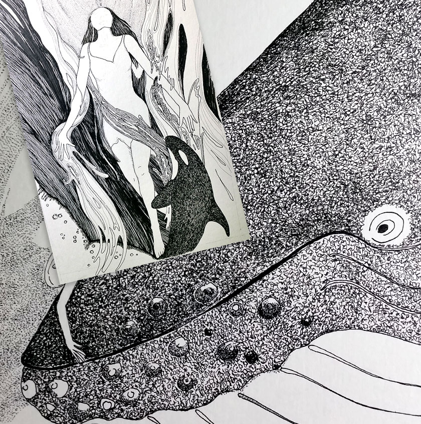 Pen and ink drawings in progress by Annette Abolins